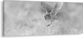 Tablou - Bufniță în câmp (120x50 cm)