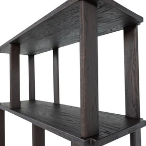 Bibliotecă maro închis din lemn de stejar 90x186x30 cm Riss – WOOOD