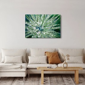 Tablou - Imagine macro a unei flori (90x60 cm)