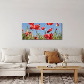 Tablou - Maci (120x50 cm)