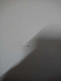 OFERTA Scaun alb KITO II. calitate secundara