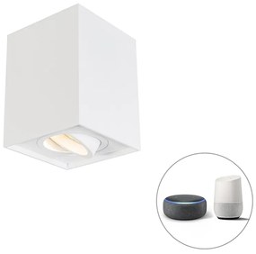 Spotlight inteligent alb, inclusiv WiFi GU10 reglabil - Quadro 1 Up