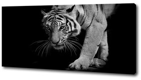 Tablou canvas Tigru