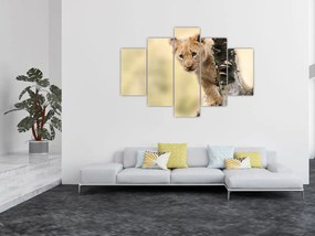 Tablou cu pui de leu (150x105 cm)