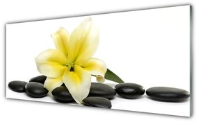 Tablou pe sticla Pietrele de flori Arta Alb Verde Negru