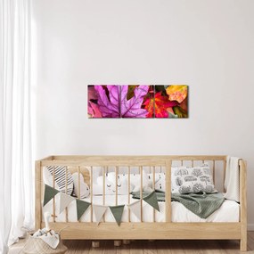 Tablou - frunze de toamnă (cu ceas) (90x30 cm)