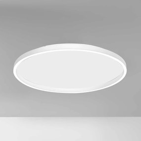 Plafoniera LED design slim AELA 80cm, auriu, alb sau negru