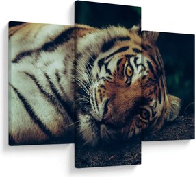 Tablou - Tigrul Siberian (90x60 cm)