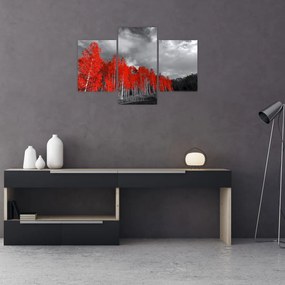 Tablou - Copaci în culorile toamnei (90x60 cm)