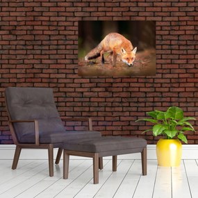 Tablou - Vulpe in pădure (70x50 cm)