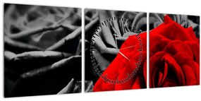 Tablou - Flori de trandafir (cu ceas) (90x30 cm)