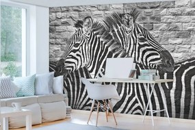 Fototapet - Zebre pe peretele din cărămizi (254x184 cm)