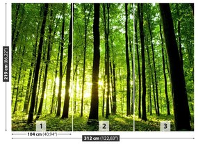 Fototapet Pădure verde