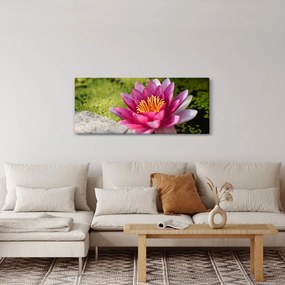 Tablou - Lotus (120x50 cm)