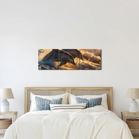 Tablou - Delfinii (cu ceas) (90x30 cm)