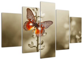 Tablou cu fluture (150x105 cm)