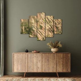 Tablou - Cereale (150x105 cm)