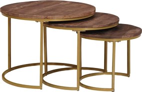 vidaXL Mese de Cafea Nesting 3 pcs Lemn masiv de mango și oțel