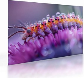 Tablou pe sticlă - Caterpillar (70x50 cm)