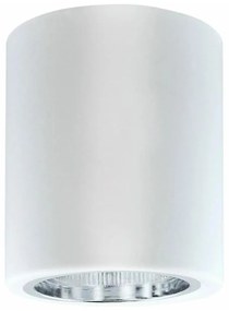 Plafonieră JUPITER 1xE27/20W/230V 120x98 mm
