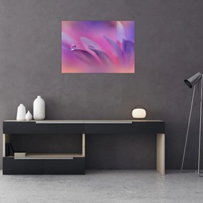 Tablou - Picătură pe floare (70x50 cm)