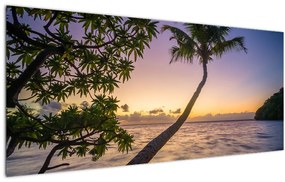 Tablou cu palmier pe plajă (120x50 cm), în 40 de alte dimensiuni noi