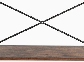 Raft tip scară cu 5 niveluri 56,2x32x172,1 cm