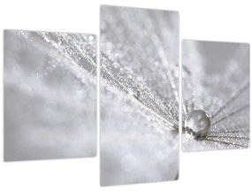 Tablou - Picătură de apă (90x60 cm)