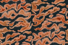 Fototapet, Guppy, Orange, Rebel Walls