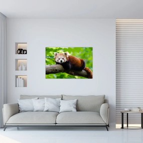 Tablou cu panda roșie (90x60 cm)
