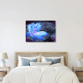 Tablou pe sticlă florilor în detailu (70x50 cm)