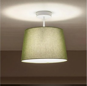 Brilagi - Lustră aplicată cu LED CERIA 1xE27/60W/230V Ø 30 cm alb/verde