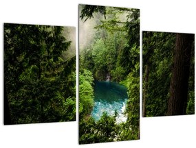 Tablou - Fereastra între copaci (90x60 cm)