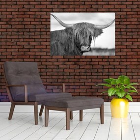 Tablou - Vacă scoțiană 2,alb-negru (90x60 cm)