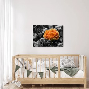 Tablou cu floare (70x50 cm)