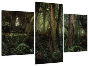 Tablou - Pădurea enigmatică (90x60 cm)