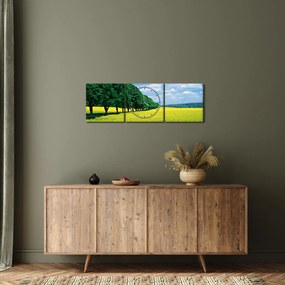 Tablou - Câmp cu alei (cu ceas) (90x30 cm)