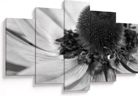 Tablou - Floare în alb-negru (150x105 cm)