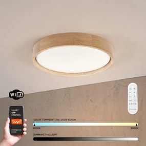 BRILAGI - Plafonieră LED dimabilă SMART MANAROLA, 24W/230V, Ø 41 cm + telecomandă