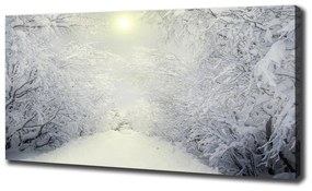 Tablou canvas Pădure de iarnă frumos