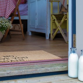Covoraș de intrare din fibre de nucă de cocos 40x60 cm Oh No Not You Again – Artsy Doormats