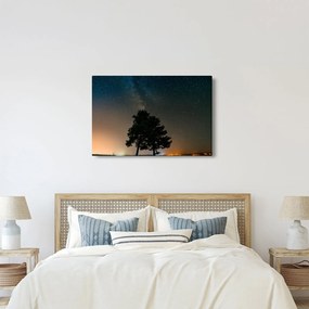 Tablou cu cerul nocturn și copaci (90x60 cm)