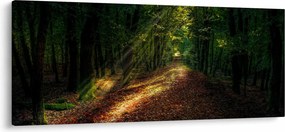 Tablou cu poteca prin pădure (120x50 cm)