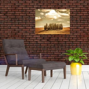 Tablou cu luncă (70x50 cm)