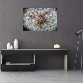 Tablou cu păpădie (90x60 cm)