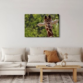 Tablou cu girafă din spate (90x60 cm)