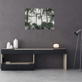 Tablou pe sticlă - Jungla în ceața dimineții (70x50 cm)