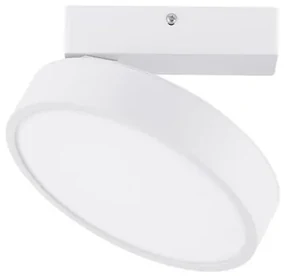 Spot LED aplicat tavan directionabil PERFECT alb CCT Dimmable