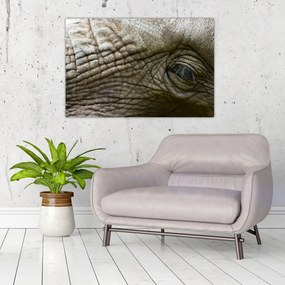 Tablou - Prim-planul ochiului de elefant vechi (90x60 cm)