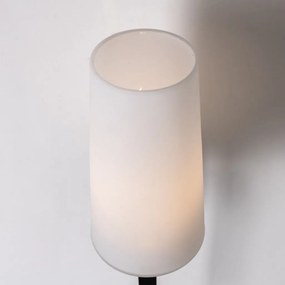 Aplica de perete eleganta VINCENZA titan periat